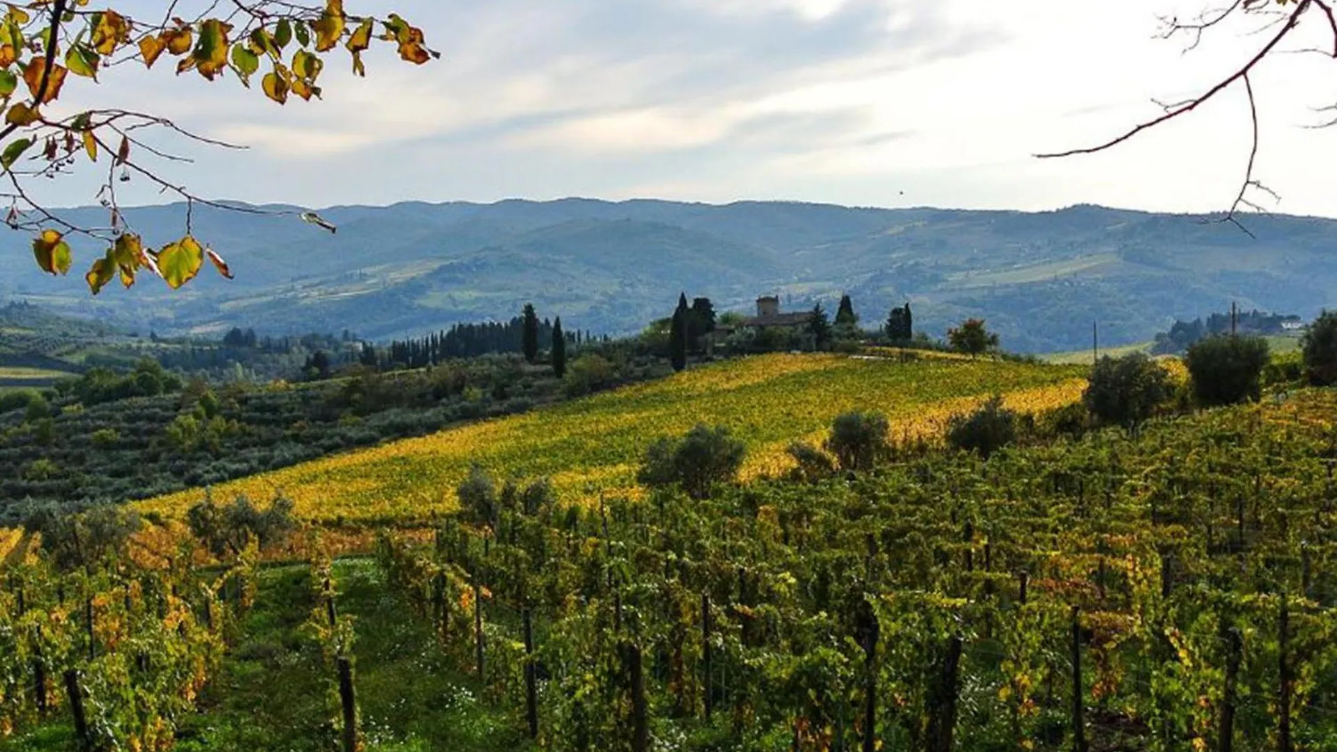 Holiday Home La Casina Di Luca By Interhome Greve in Chianti Italy